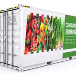 20ft shipping container farms hydroponics china.jpg